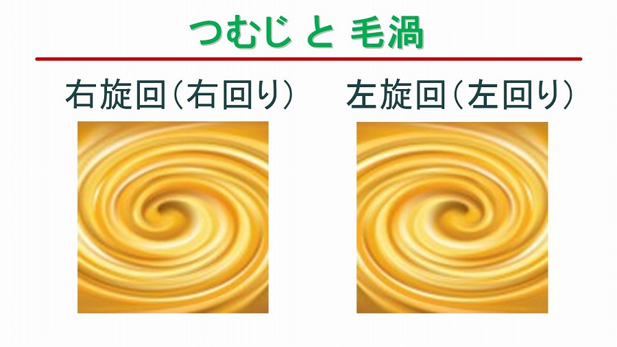 つむじ 毛流と髪型